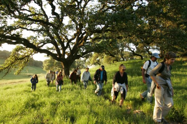 group of adults walking in the grass