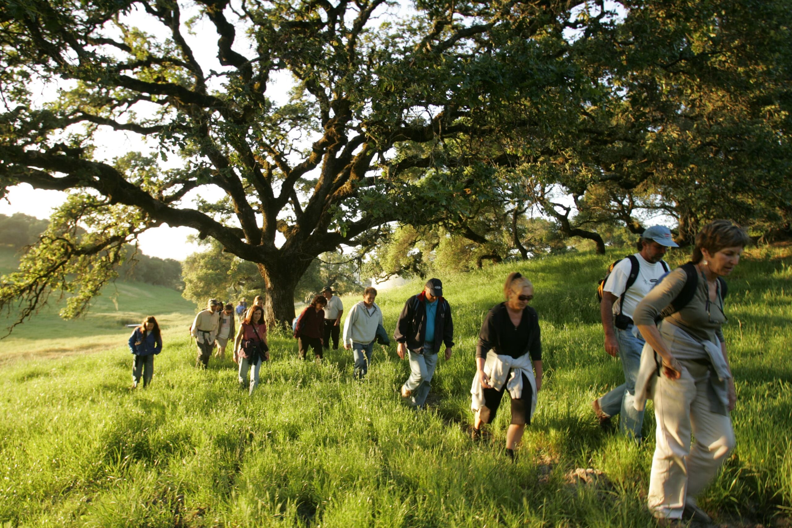 group of adults walking in the grass