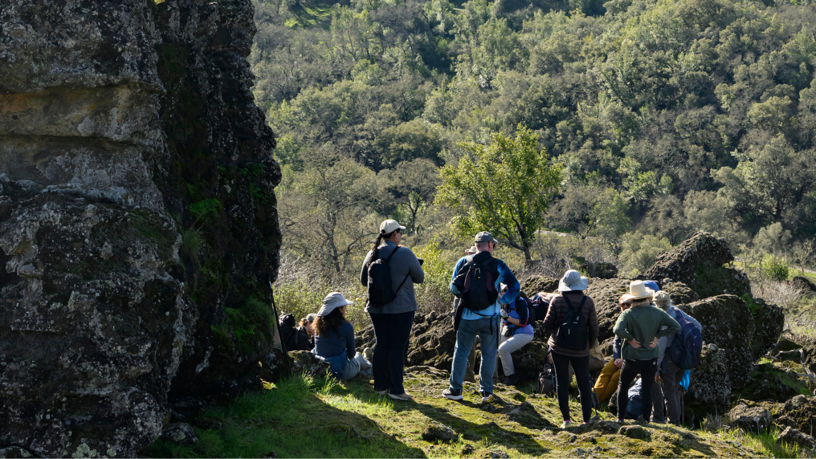 Exploring Sonoma's Ancient Volcanic Landscape: A Hike at the Keen Property