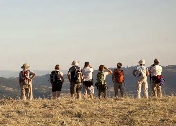 people looking at view from the top of a hill