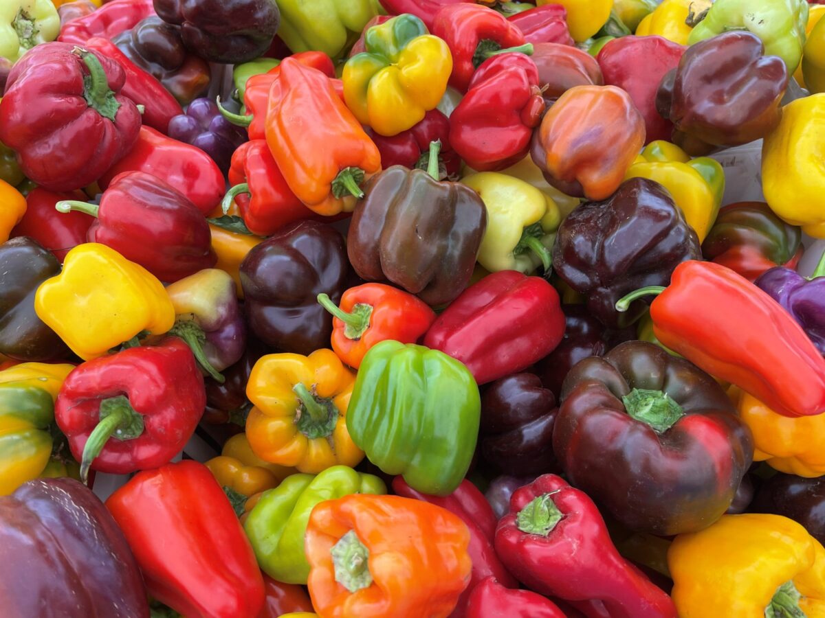 Colorful peppers on display at farmers market
