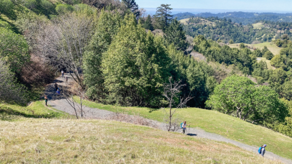People hiking through a trail, trees in the background