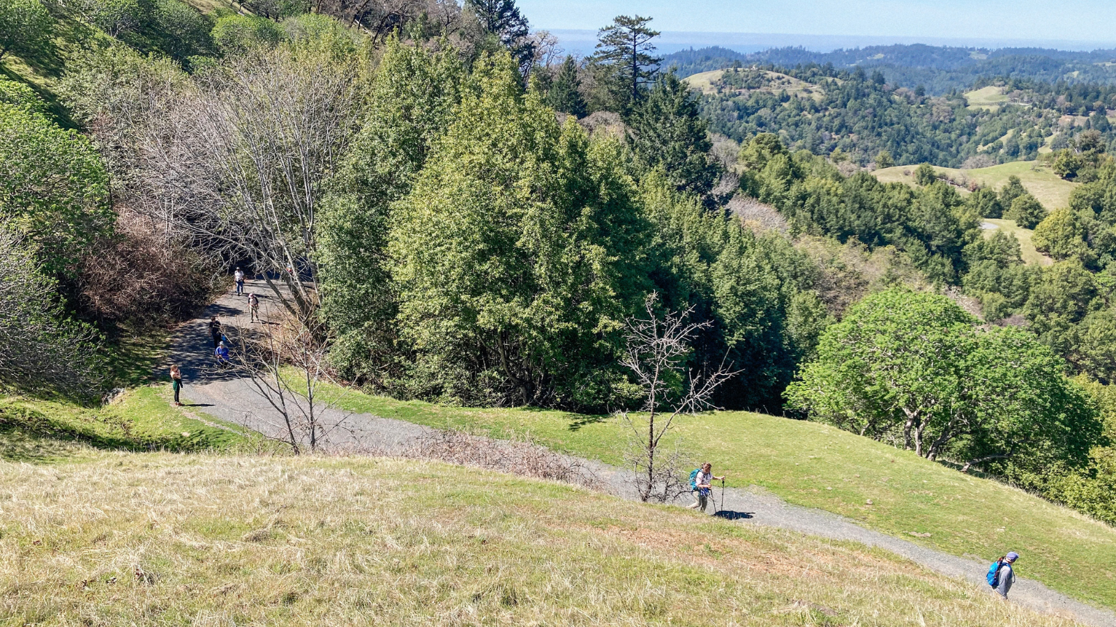 Springtime at Pole Mountain