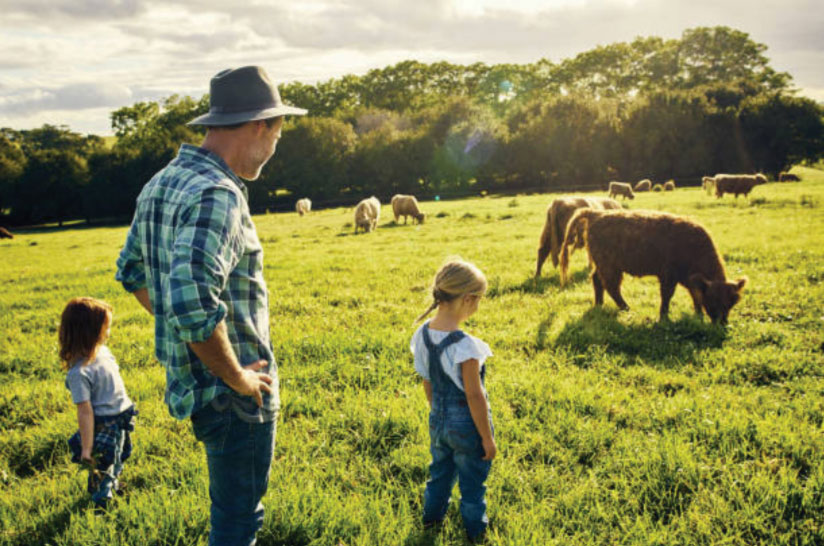 A rancher and his children looking at his cattle