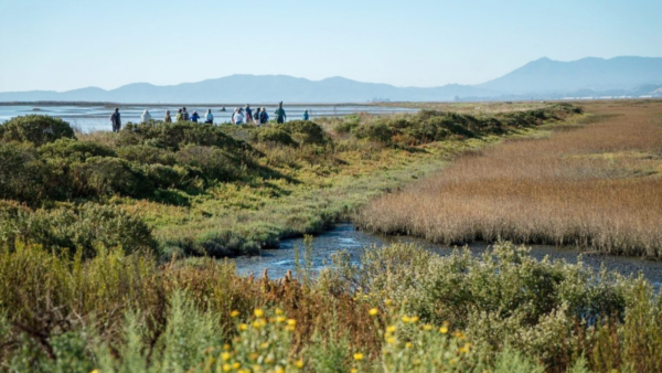 Marsh wetland in foreground, people walking on levee road in background