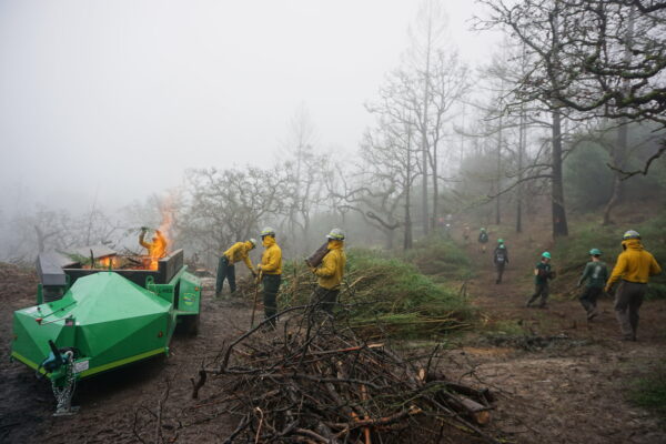 A group of people in yellow fire safety jackets and hardhats clearing vegetation by hand and with prescribed fire.