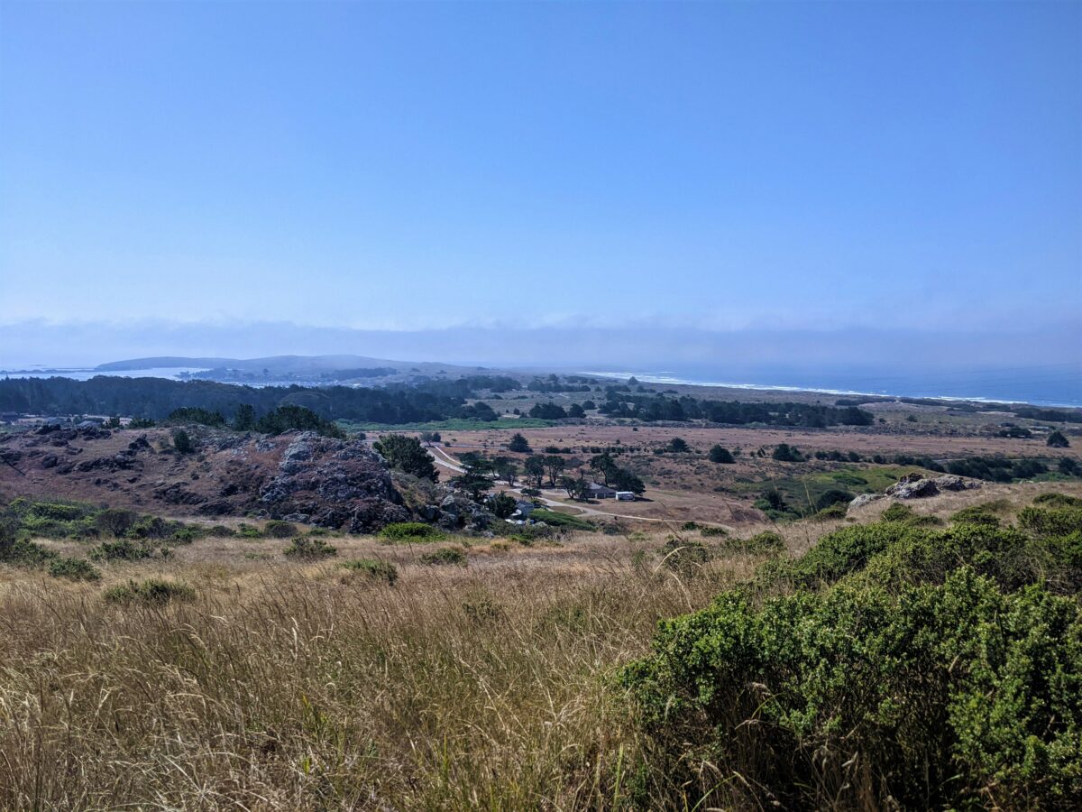 southern views of bodega bay