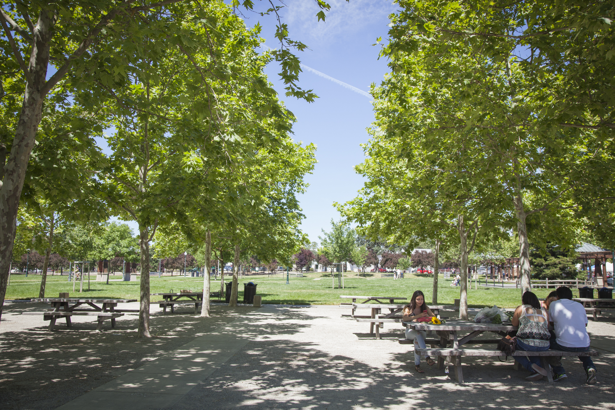 group of people at a picnic bench